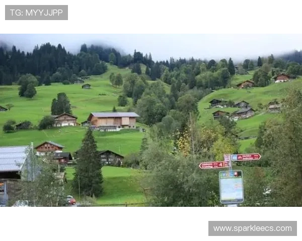 瑞士娱乐体验:深入了解瑞士特色娱乐项目与本地文化的深度融合 瑞士娱乐体验:深入了解瑞士特色娱乐项目与本地文化的深度融合