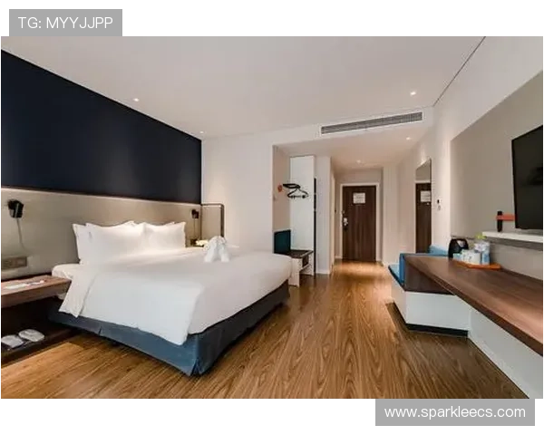 假日国际娱乐：提供一站式假日娱乐解决方案，让您的假期轻松无忧尽情享受