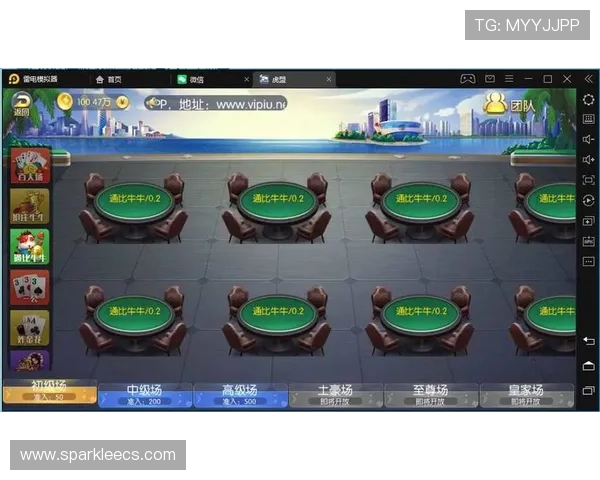 大型百人牛牛游戏提供丰富的游戏模式满足不同玩家需求