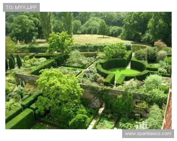 探索88娱乐丰富多彩的娱乐内容，满足你的所有娱乐需求和兴趣爱好