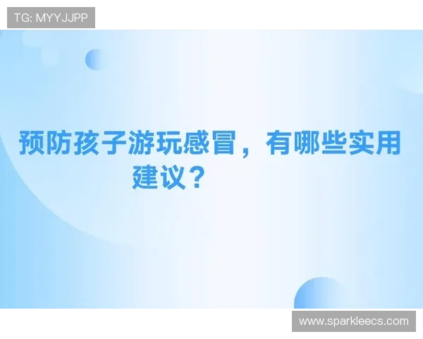 选择优质k8体育登录线路的关键因素与实用建议