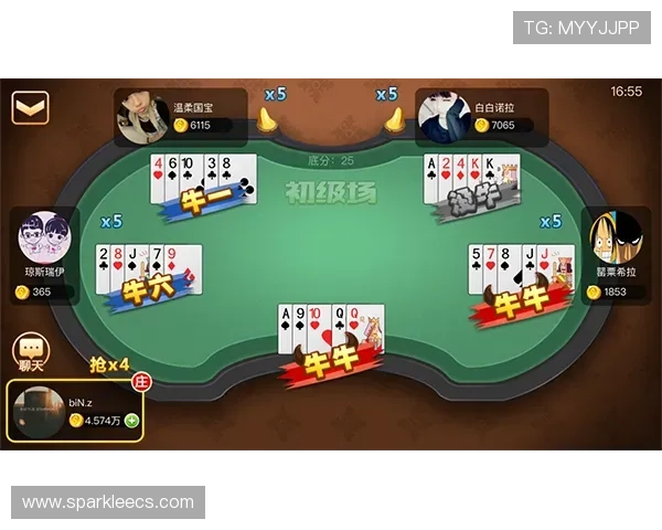 全面解析完美体育棋牌的特色玩法与安全保障让你放心畅玩每一局
